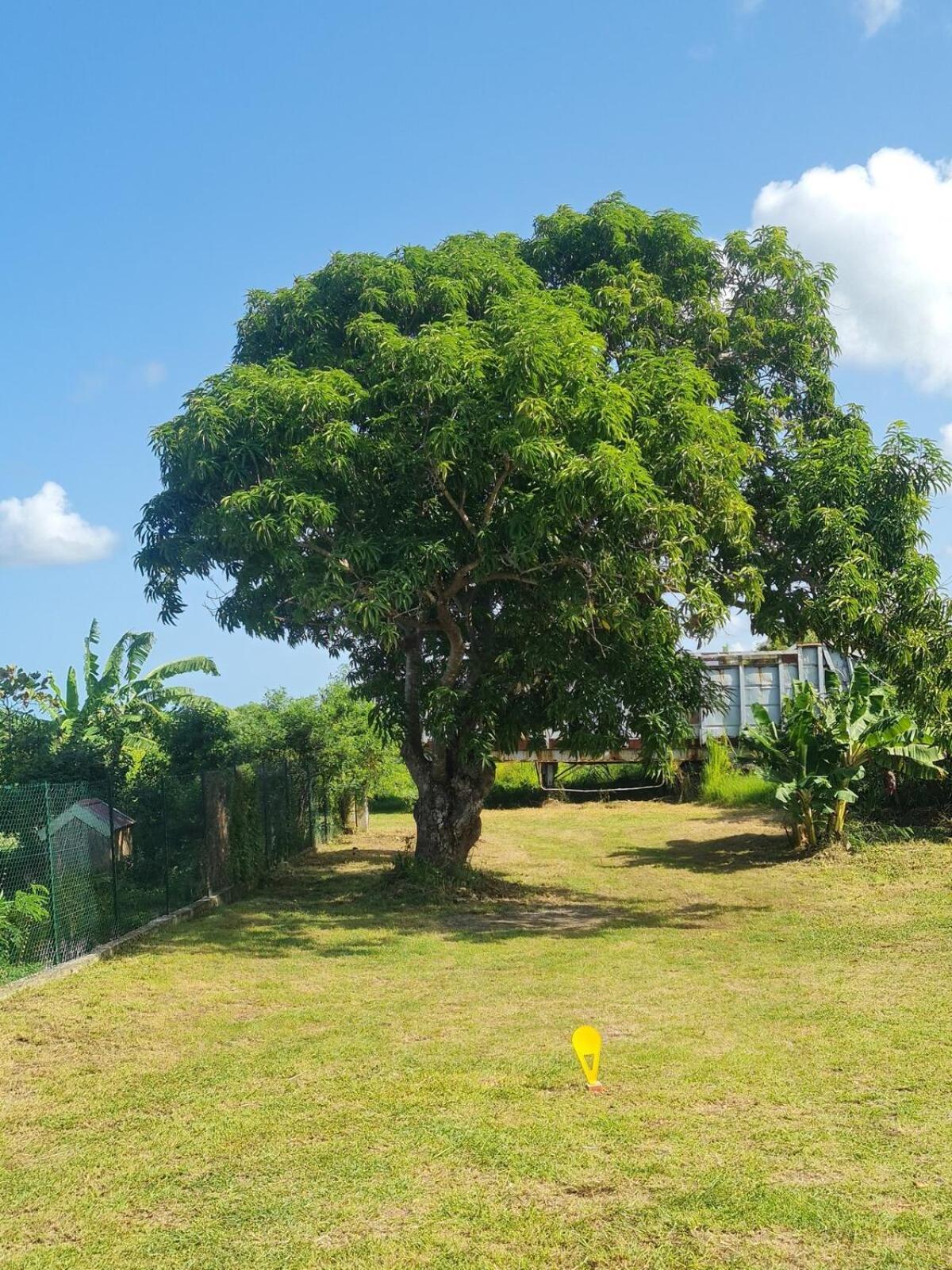 On Ti Fle Gite Anse-Bertrand ภายนอก รูปภาพ